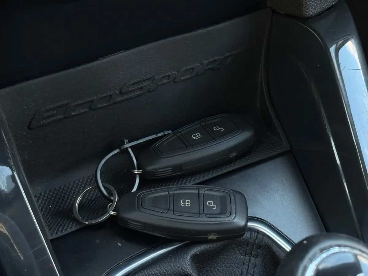 Ford EcoSport - фото 14