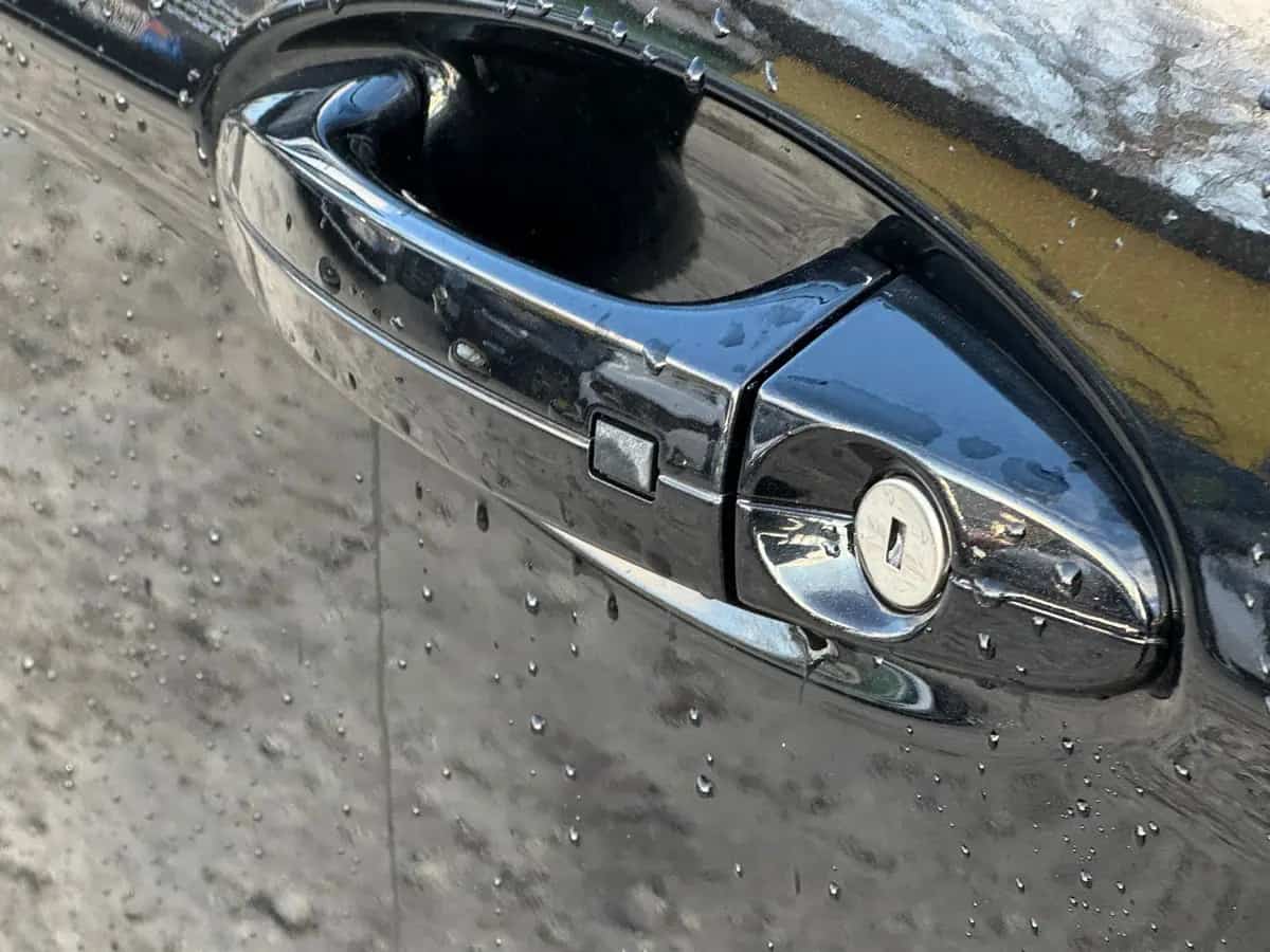 Ford EcoSport - фото 8