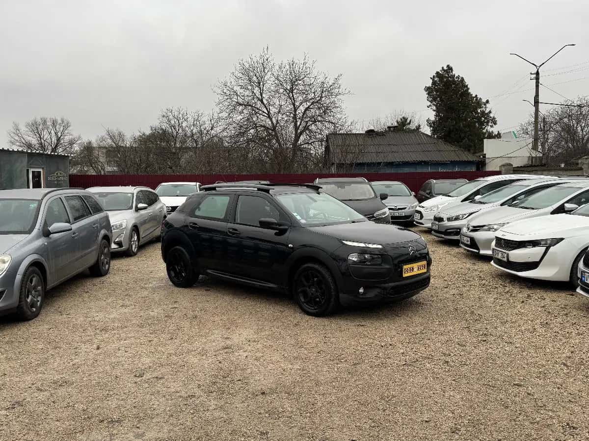 Citroen C4 Cactus - fotografia 1