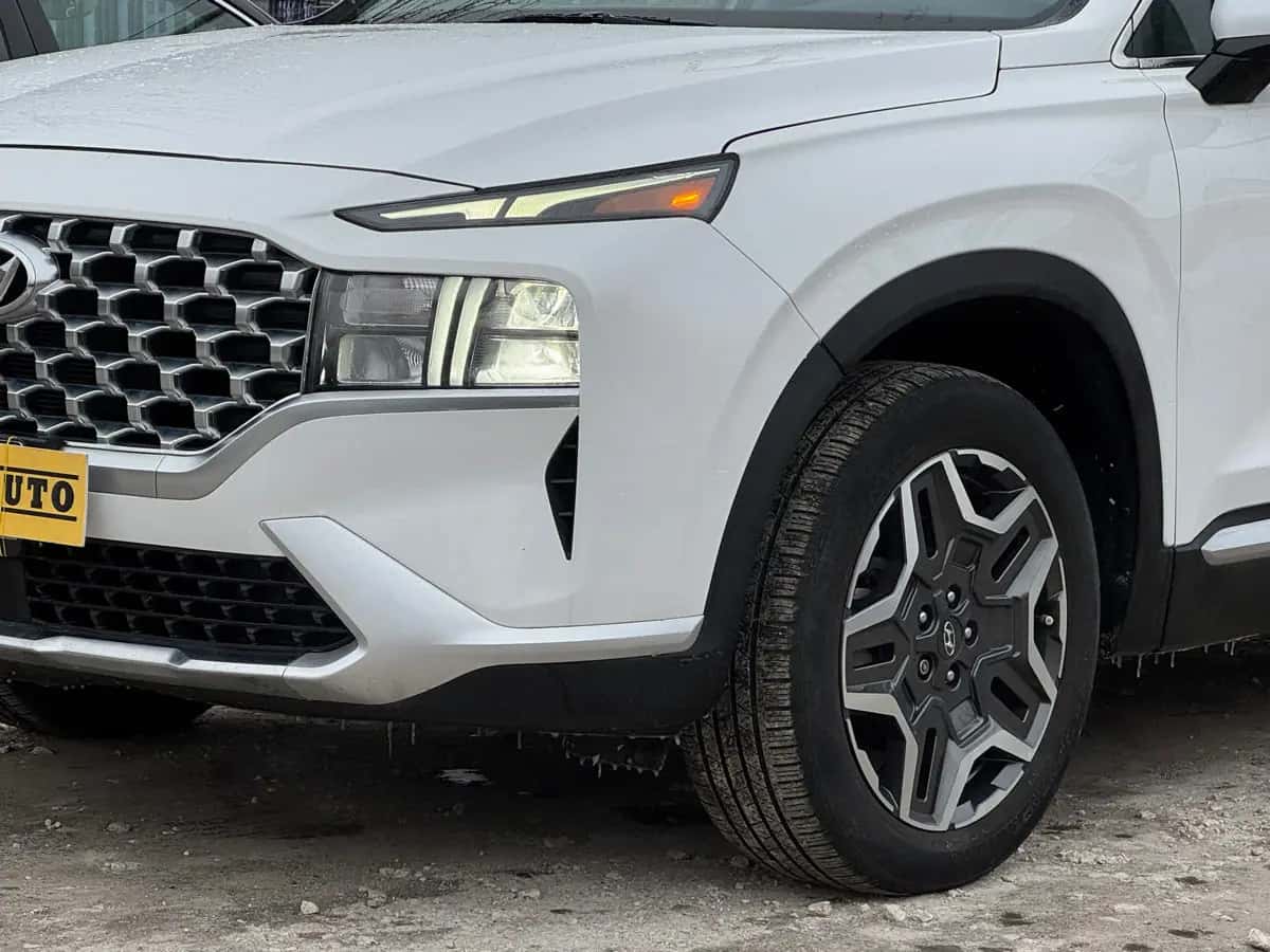 Hyundai Santa FE - фото 4