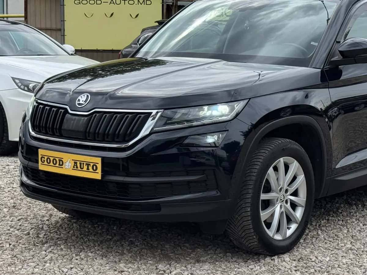 Skoda Kodiaq - фото 5