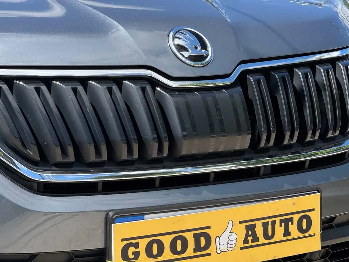 Skoda Kodiaq - фото 3