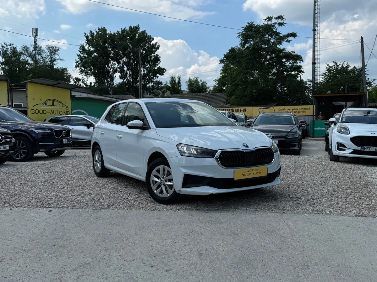 Skoda Fabia - фото 1